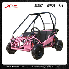 Enfants sans danger gaz 50cc Mini Buggy 49cc Mini Go Kart